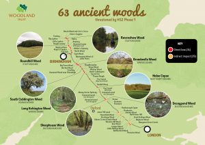woodlandtrust