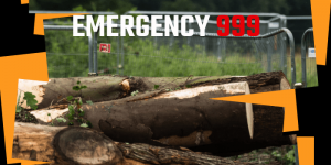 header 'Emergancy 9-9-9', pile of logs