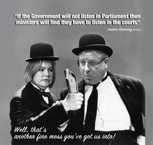 "If the Government will not listen in Parliament then ministers will find they have to listen in the courts"