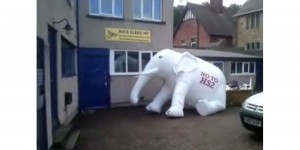 No to HS2 Elephant outside Nick Clegg's office
