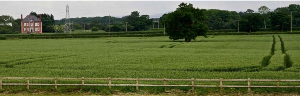 Between Winsford and Middlewich the HS2 proposed route is located along the centre line of 4 active linear subsidence hollows over brine runs from left to right in in above image. Photo C Triffit July 2014