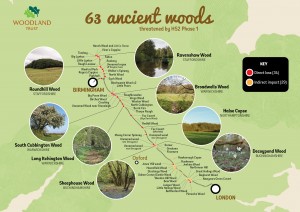 63 Ancient Woods threatened by HS2 Phase 1