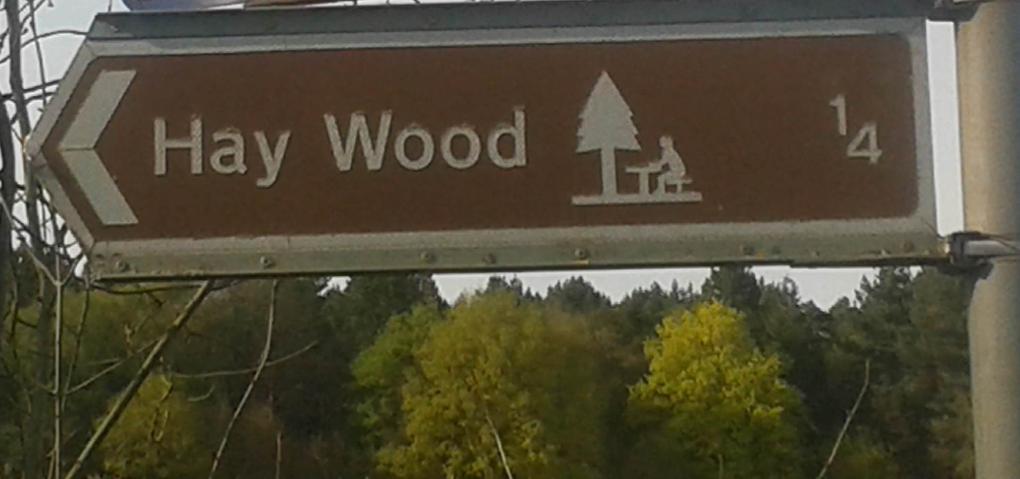 Yes, we know it's spelled 'Heywood', but given the title of the article, we couldn't not use this picture!