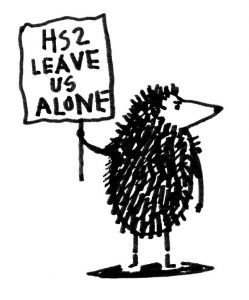 Hedgehogs against HS2 cartoon